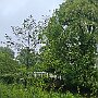 20250525_094957