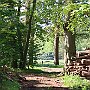 IMG_3652