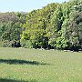IMG_3655