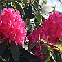 IMG_3664