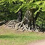IMG_3665