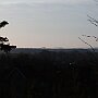 IMG_3257
