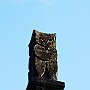 IMG_3261