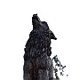 IMG_3271