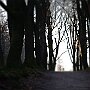 IMG_3273