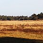 IMG_3291