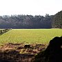 IMG_3295