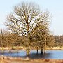 IMG_3298