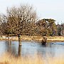 IMG_3302