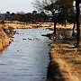 IMG_3305