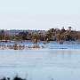 IMG_3315