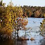 IMG_3320