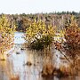 IMG_3321