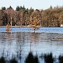 IMG_3322