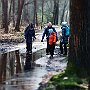 IMG_3331