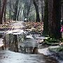 IMG_3334