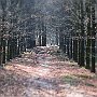 IMG_3366
