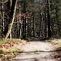 IMG_3371