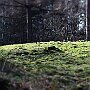 IMG_3372