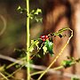 IMG_3373