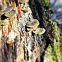 IMG_3395