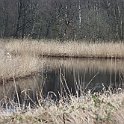 IMG_9210