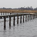 IMG_9219