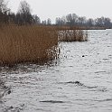 IMG_9226