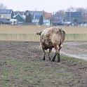IMG_9229