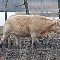 IMG_9232