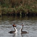 IMG_9237