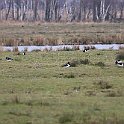 IMG_9243
