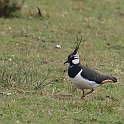 IMG_9248