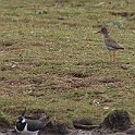 IMG_9256