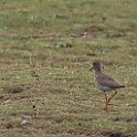 IMG_9257
