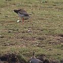 IMG_9259