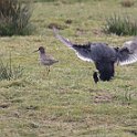 IMG_9261