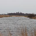 IMG_9271