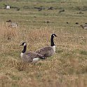 IMG_9273