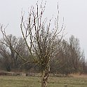 IMG_9274