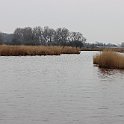 IMG_9276