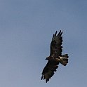 IMG_5146