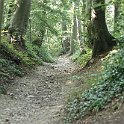 IMG_6877