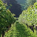 IMG_6889