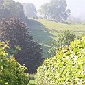 IMG_6890