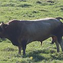 IMG_6892