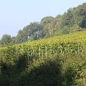IMG_6893
