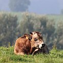 IMG_6897