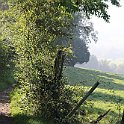 IMG_6901