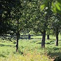 IMG_6903
